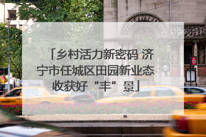 乡村活力新密码 济宁市任城区田园新业态收获好“丰”景