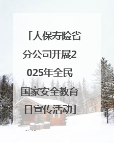 人保寿险省分公司开展2025年全民国家安全教育日宣传活动