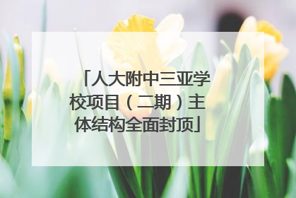 人大附中三亚学校项目（二期）主体结构全面封顶