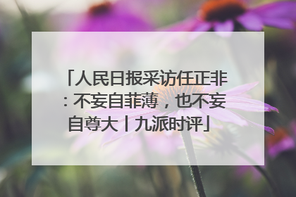 人民日报采访任正非：不妄自菲薄，也不妄自尊大丨九派时评