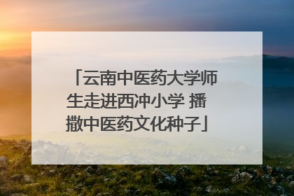 云南中医药大学师生走进西冲小学 播撒中医药文化种子