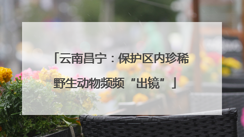 云南昌宁：保护区内珍稀野生动物频频“出镜”