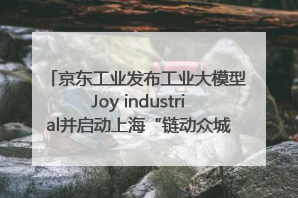 京东工业发布工业大模型Joy industrial并启动上海“链动众城 万亿降本”计划