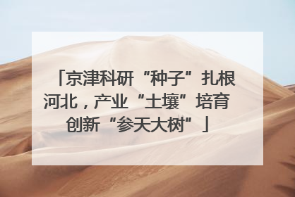 京津科研“种子”扎根河北，产业“土壤”培育创新“参天大树”