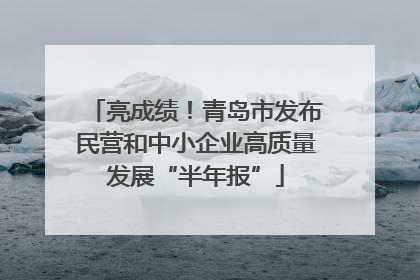 亮成绩！青岛市发布民营和中小企业高质量发展“半年报”