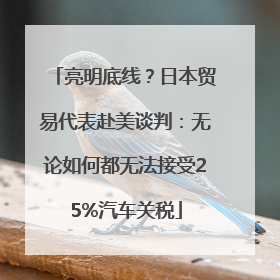 亮明底线？日本贸易代表赴美谈判：无论如何都无法接受25%汽车关税