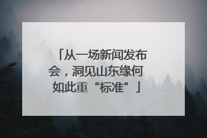 从一场新闻发布会，洞见山东缘何如此重“标准”