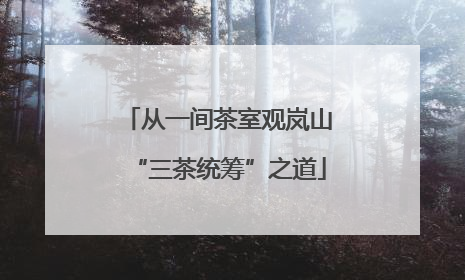 从一间茶室观岚山“三茶统筹”之道