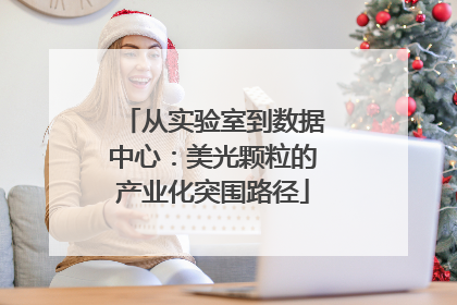从实验室到数据中心：美光颗粒的产业化突围路径