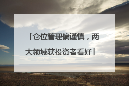 仓位管理偏谨慎，两大领域获投资者看好