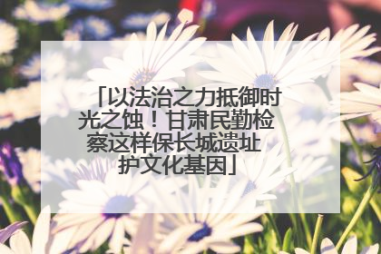 以法治之力抵御时光之蚀！甘肃民勤检察这样保长城遗址 护文化基因