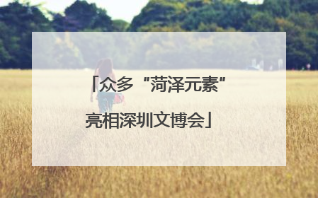 众多“菏泽元素”亮相深圳文博会
