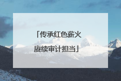 传承红色薪火 赓续审计担当
