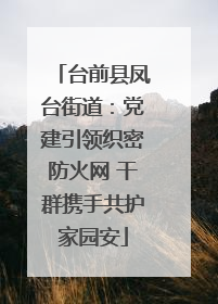 台前县凤台街道：党建引领织密防火网 干群携手共护家园安