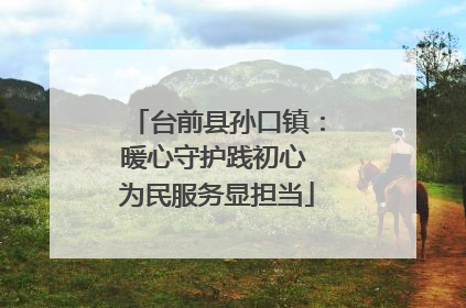 台前县孙口镇：暖心守护践初心 为民服务显担当