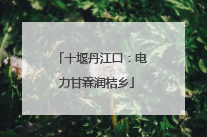 十堰丹江口：电力甘霖润桔乡