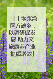 十堰张湾区方滩乡：以调研促发展 助力文旅康养产业提质增效