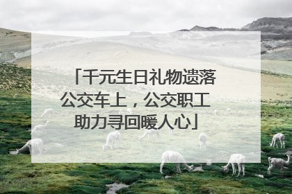 千元生日礼物遗落公交车上，公交职工助力寻回暖人心