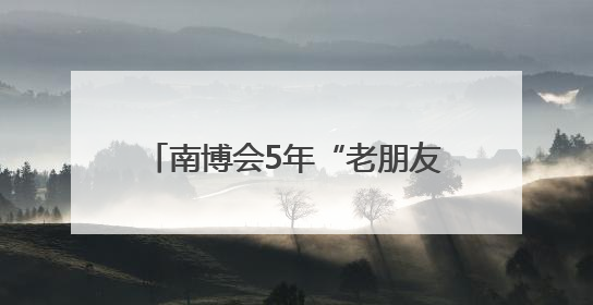 南博会5年“老朋友” 云铝股份不断擦亮云南制造“绿名片”