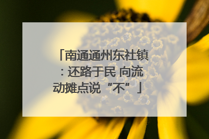 南通通州东社镇：还路于民 向流动摊点说“不”