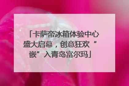 卡萨帝冰箱体验中心盛大启幕，创意狂欢“嵌”入青岛富尔玛