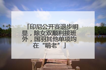 印尼公开赛退步明显，除女双顺利接班外，国羽其他单项均在“啃老”