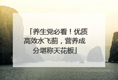 养生党必看！优质高效水飞蓟，营养成分堪称天花板
