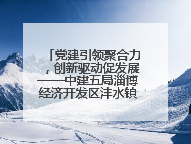 党建引领聚合力，创新驱动促发展——中建五局淄博经济开发区沣水镇高西村安置项目建设纪实