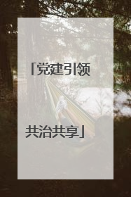 党建引领 共治共享