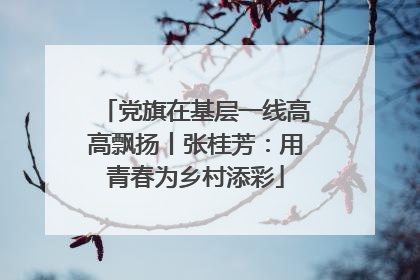 党旗在基层一线高高飘扬丨张桂芳：用青春为乡村添彩