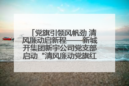 党旗引领风帆劲 清风廉动启新程——新城开集团新宇公司党支部启动“清风廉动党旗红”系列活动