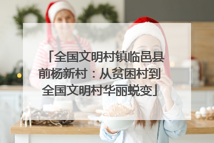 全国文明村镇临邑县前杨新村：从贫困村到全国文明村华丽蜕变