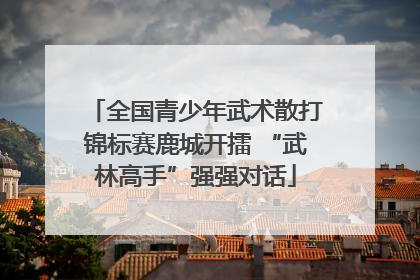 全国青少年武术散打锦标赛鹿城开擂 “武林高手”强强对话