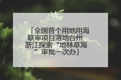 全国首个用地用海联审项目落地台州 浙江探索“地林草海”审批一次办