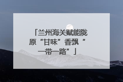 兰州海关赋能陇原“甘味”香飘“一带一路”