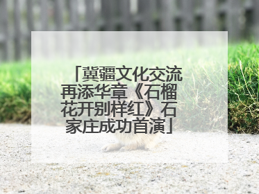 冀疆文化交流再添华章《石榴花开别样红》石家庄成功首演
