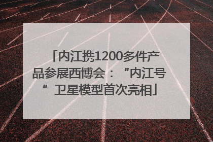内江携1200多件产品参展西博会：“内江号”卫星模型首次亮相