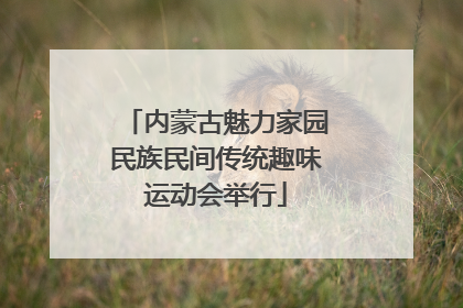 内蒙古魅力家园民族民间传统趣味运动会举行