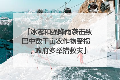 冰雹和强降雨袭击致巴中数千亩农作物受损，政府多举措救灾