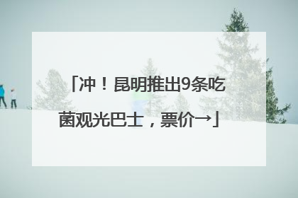 冲！昆明推出9条吃菌观光巴士，票价→