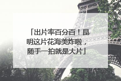 出片率百分百！昆明这片花海美炸啦，随手一拍就是大片