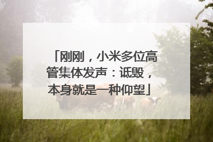 刚刚，小米多位高管集体发声：诋毁，本身就是一种仰望