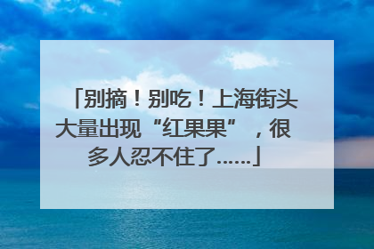 别摘！别吃！上海街头大量出现“红果果”，很多人忍不住了……