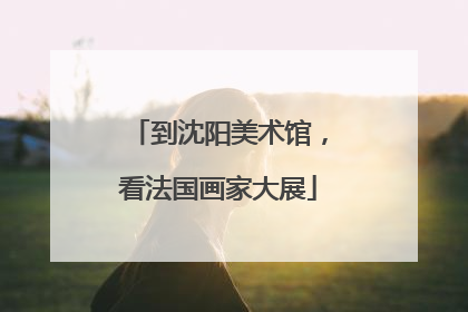 到沈阳美术馆，看法国画家大展