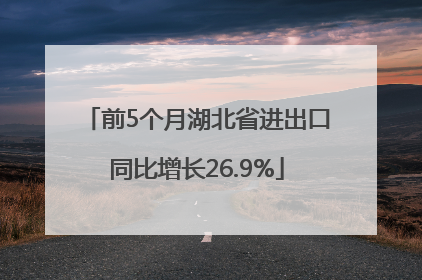 前5个月湖北省进出口同比增长26.9%