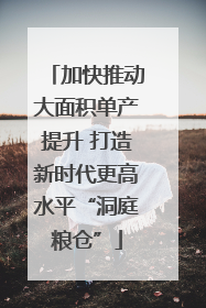 加快推动大面积单产提升 打造新时代更高水平“洞庭粮仓”