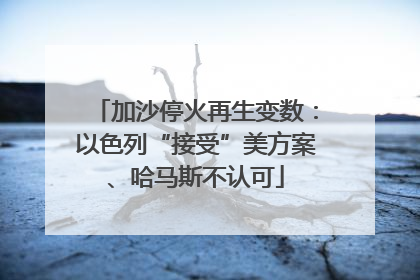 加沙停火再生变数：以色列“接受”美方案、哈马斯不认可