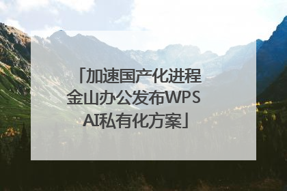 加速国产化进程 金山办公发布WPS AI私有化方案