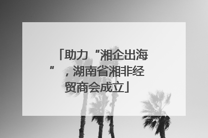 助力“湘企出海”，湖南省湘非经贸商会成立