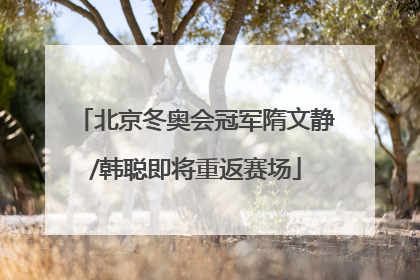 北京冬奥会冠军隋文静/韩聪即将重返赛场
